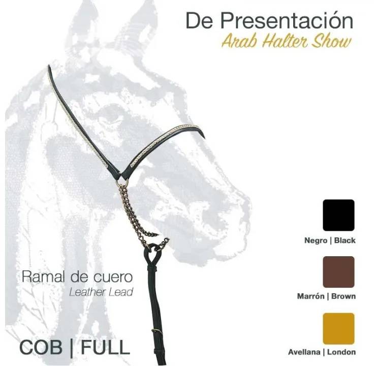 cabezada-presentacion-15-513